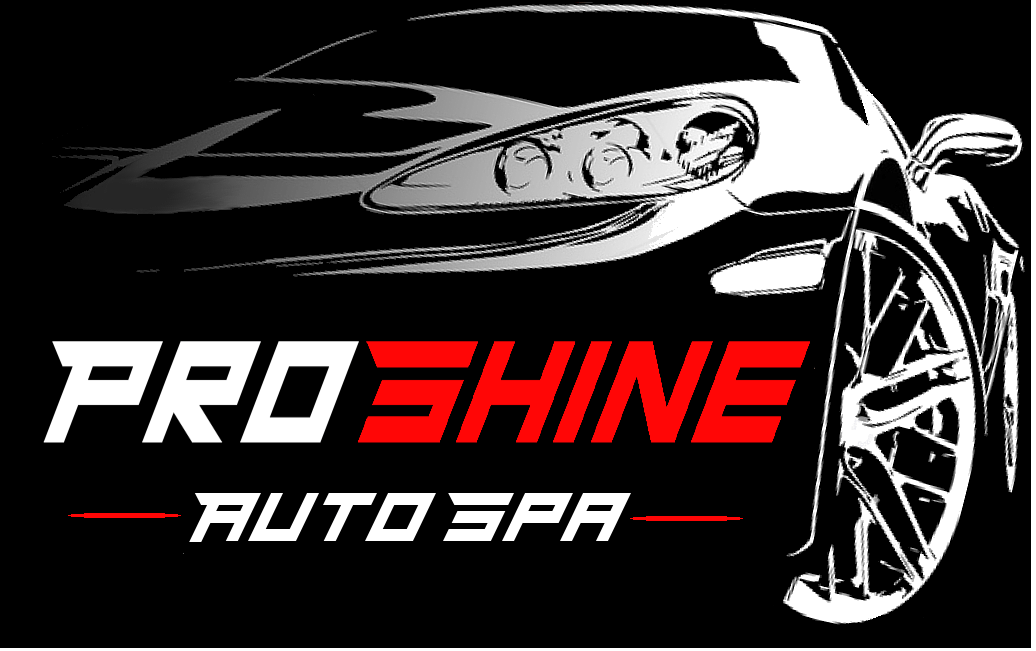 Car Detailing Hamilton Ontario Proshine Auto Spa